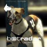 Virtual Dogs